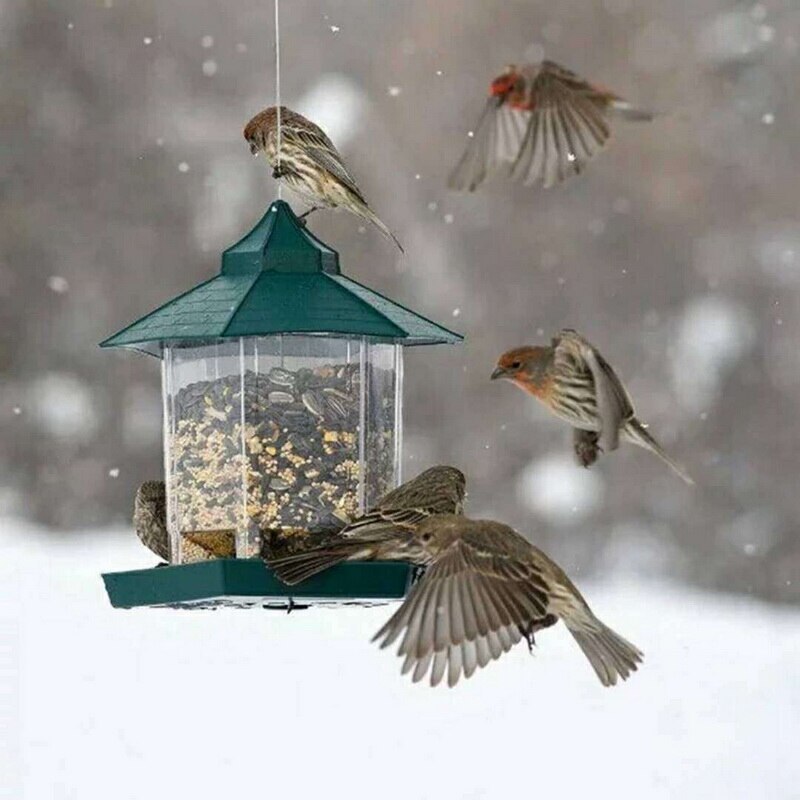 Waterproof Hanging Bird Feeder Box