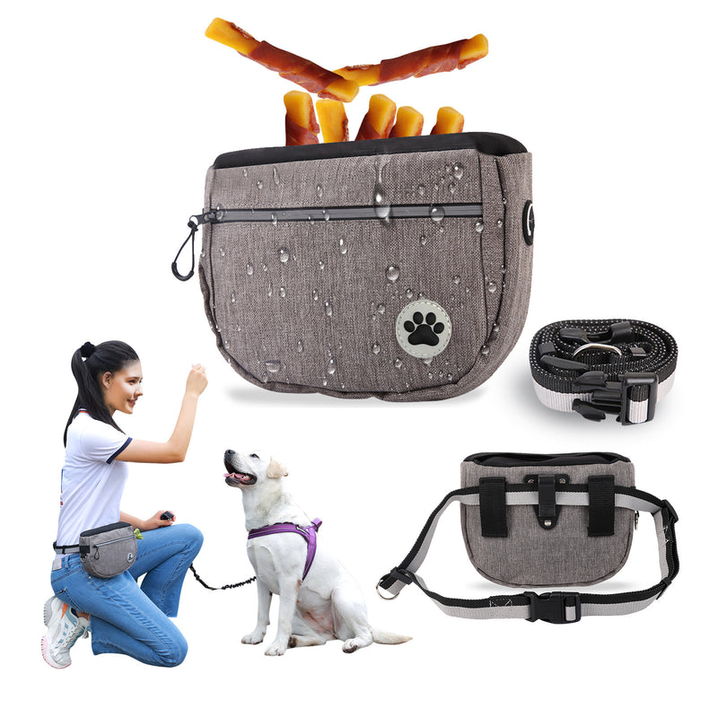 Pet Snack Bag for Walking & Training
