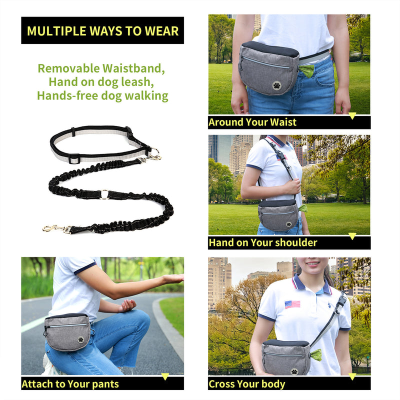 Pet Snack Bag for Walking & Training