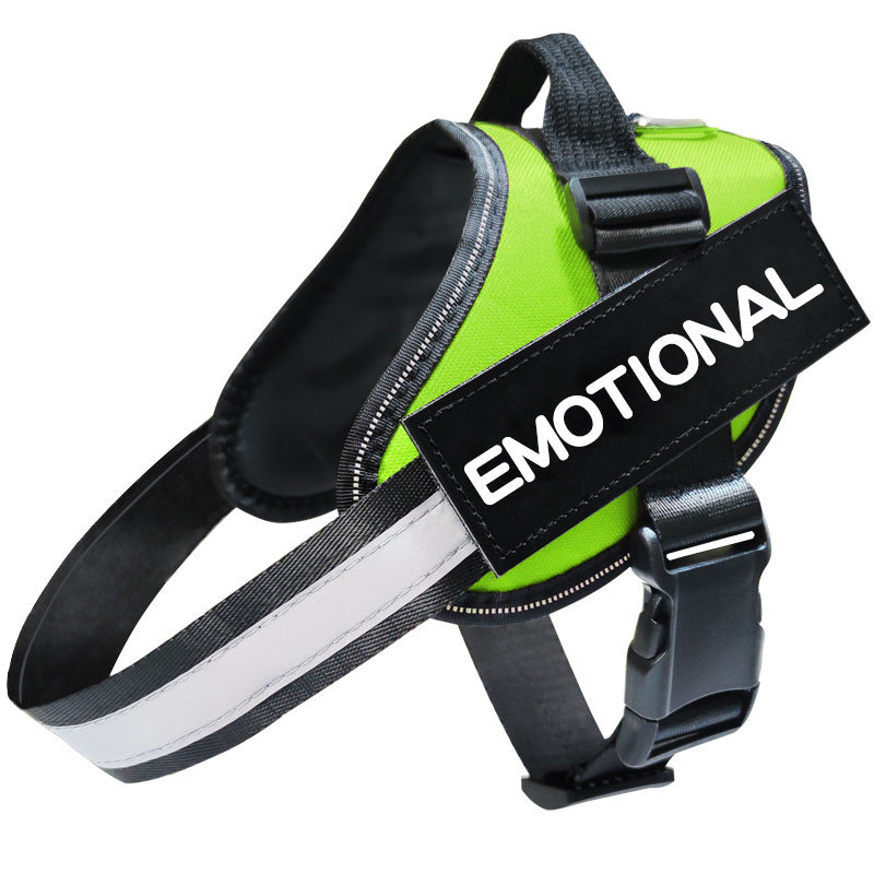 Reflective Dog Leash & Harness Set