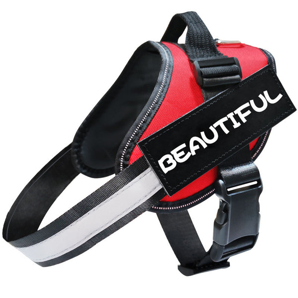 Reflective Dog Leash & Harness Set