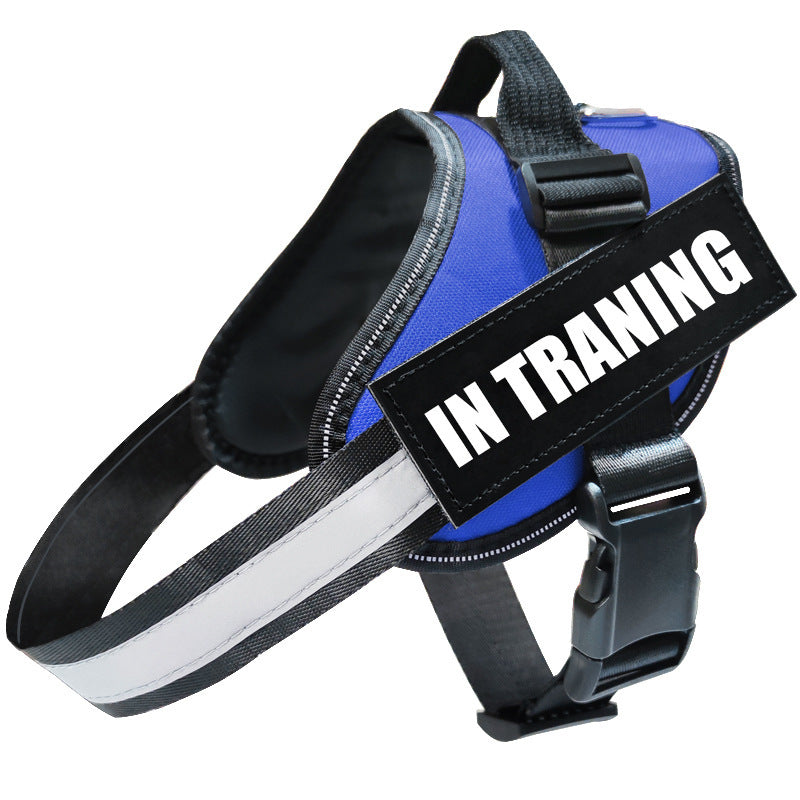 Reflective Dog Leash & Harness Set