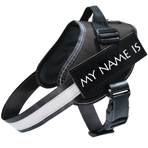 Reflective Dog Leash & Harness Set