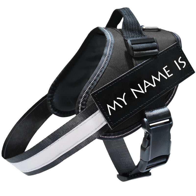 Reflective Dog Leash & Harness Set