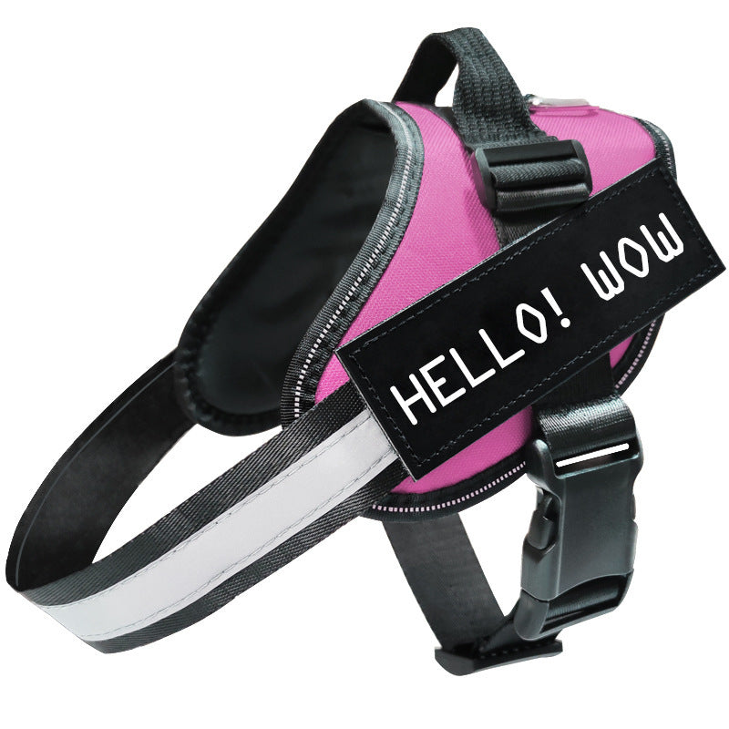 Reflective Dog Leash & Harness Set