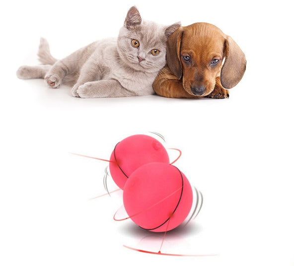 Whisker Whirl™ – LED Smart Rolling Cat Toy