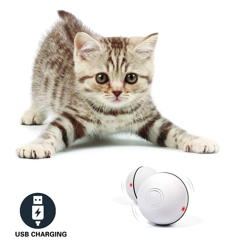 Whisker Whirl™ – LED Smart Rolling Cat Toy