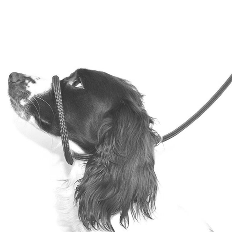 Nylon Dog Mouth Leash for Walking