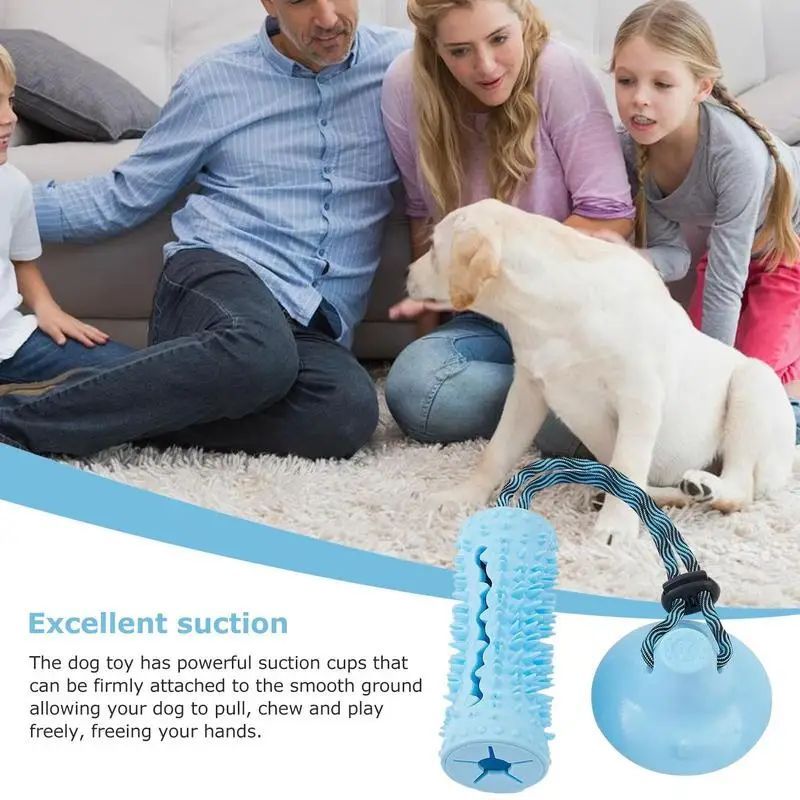 Interactive Chew Ball & Tug Toy
