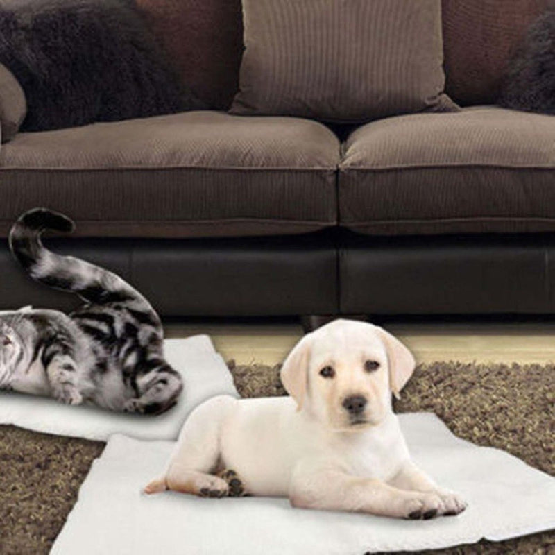 Self-Heating Thermal Pet Blanket