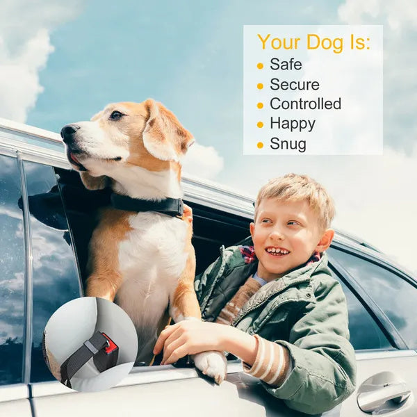 2-Pack Adjustable Pet Dog & Cat Seat Belt Leash Safety Harness
