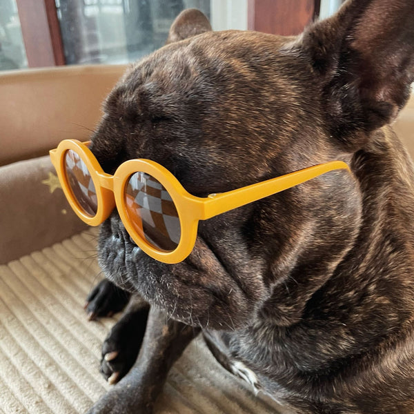 Round Frame Fashion Pet Sunglasses
