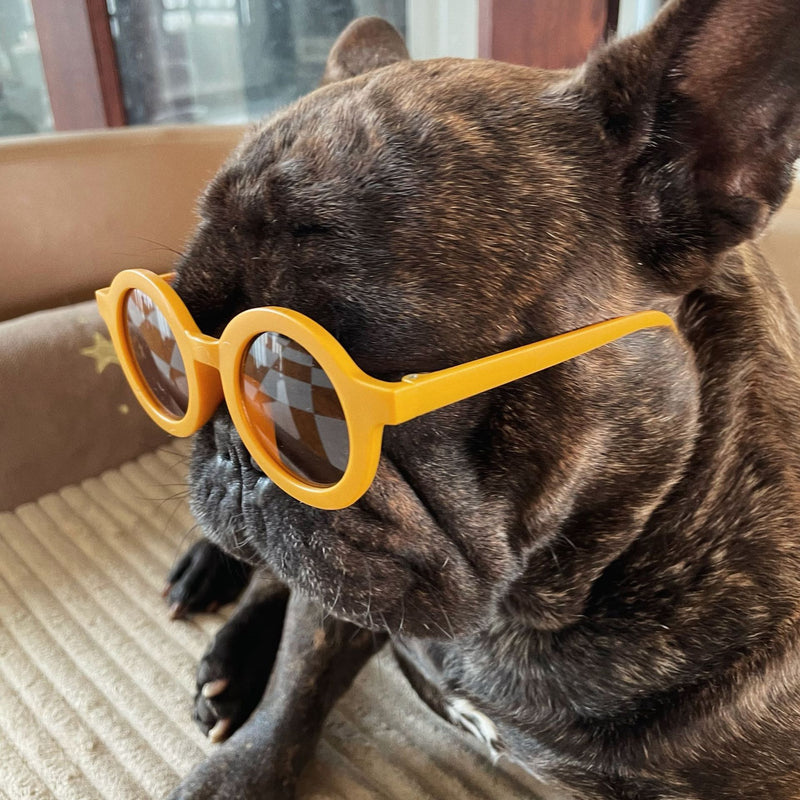Round Frame Fashion Pet Sunglasses