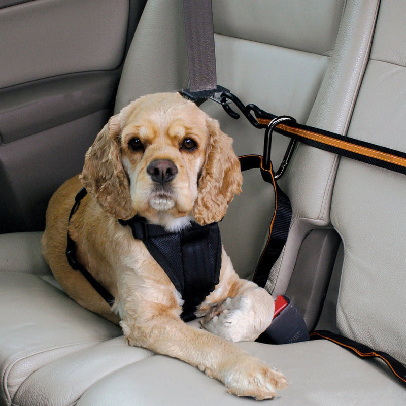 Dual-Purpose Pet Safety Belt Car Lanyard