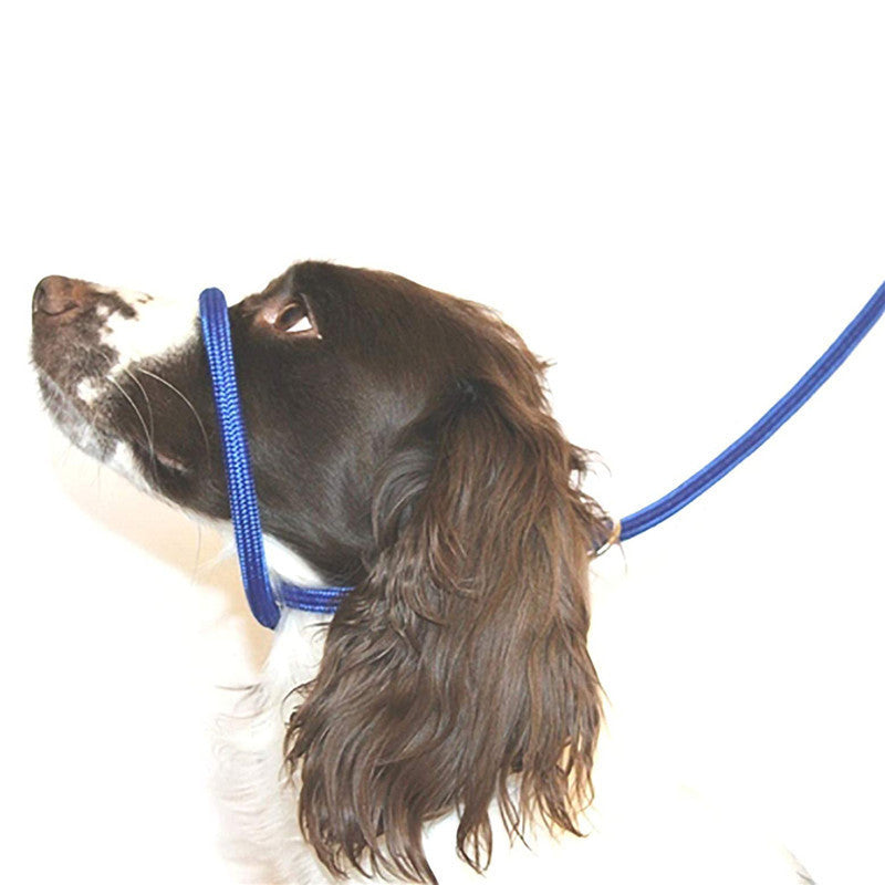 Nylon Dog Mouth Leash for Walking