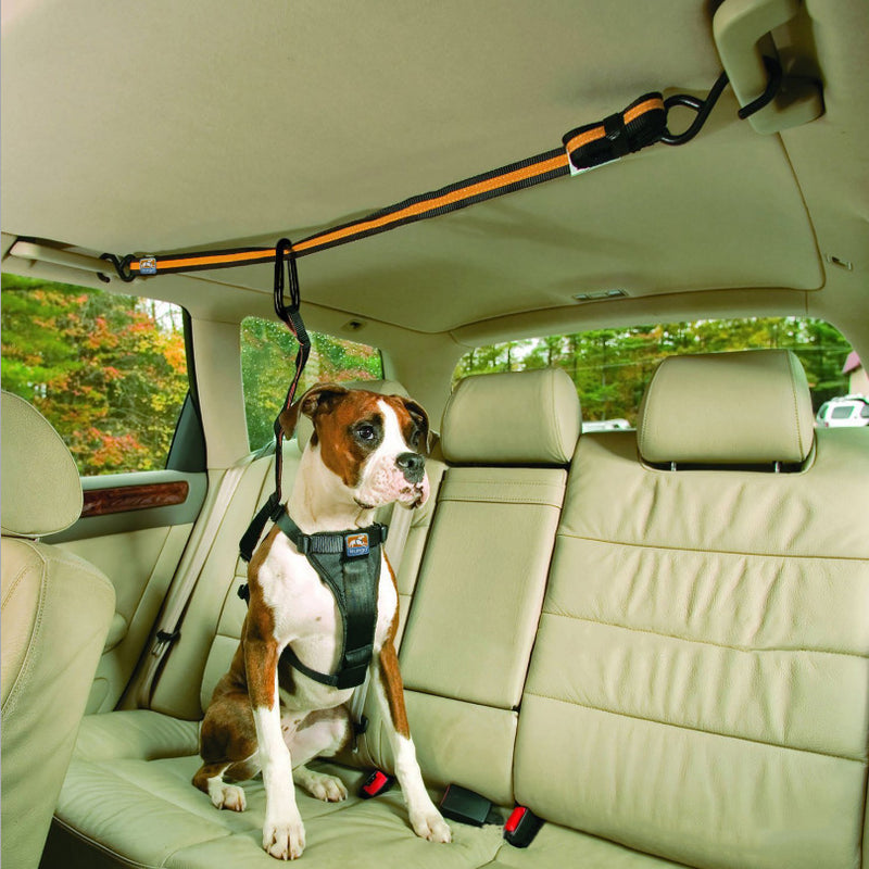 Dual-Purpose Pet Safety Belt Car Lanyard