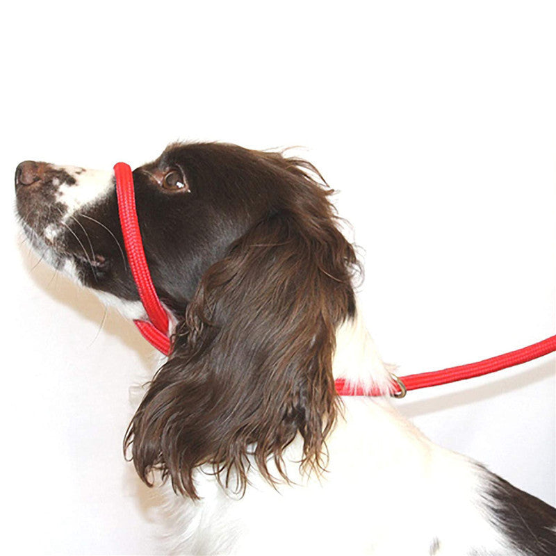 Nylon Dog Mouth Leash for Walking