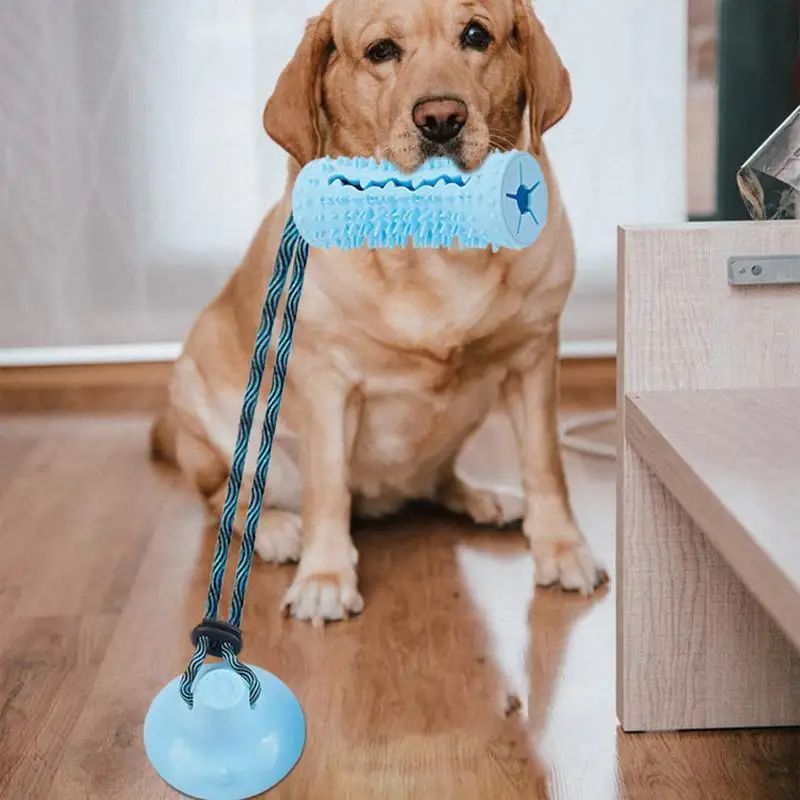 Interactive Chew Ball & Tug Toy