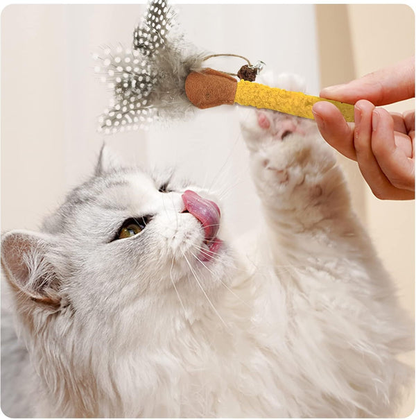 Catnip & Silvervine Chew Sticks with Feather