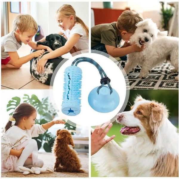 Interactive Chew Ball & Tug Toy